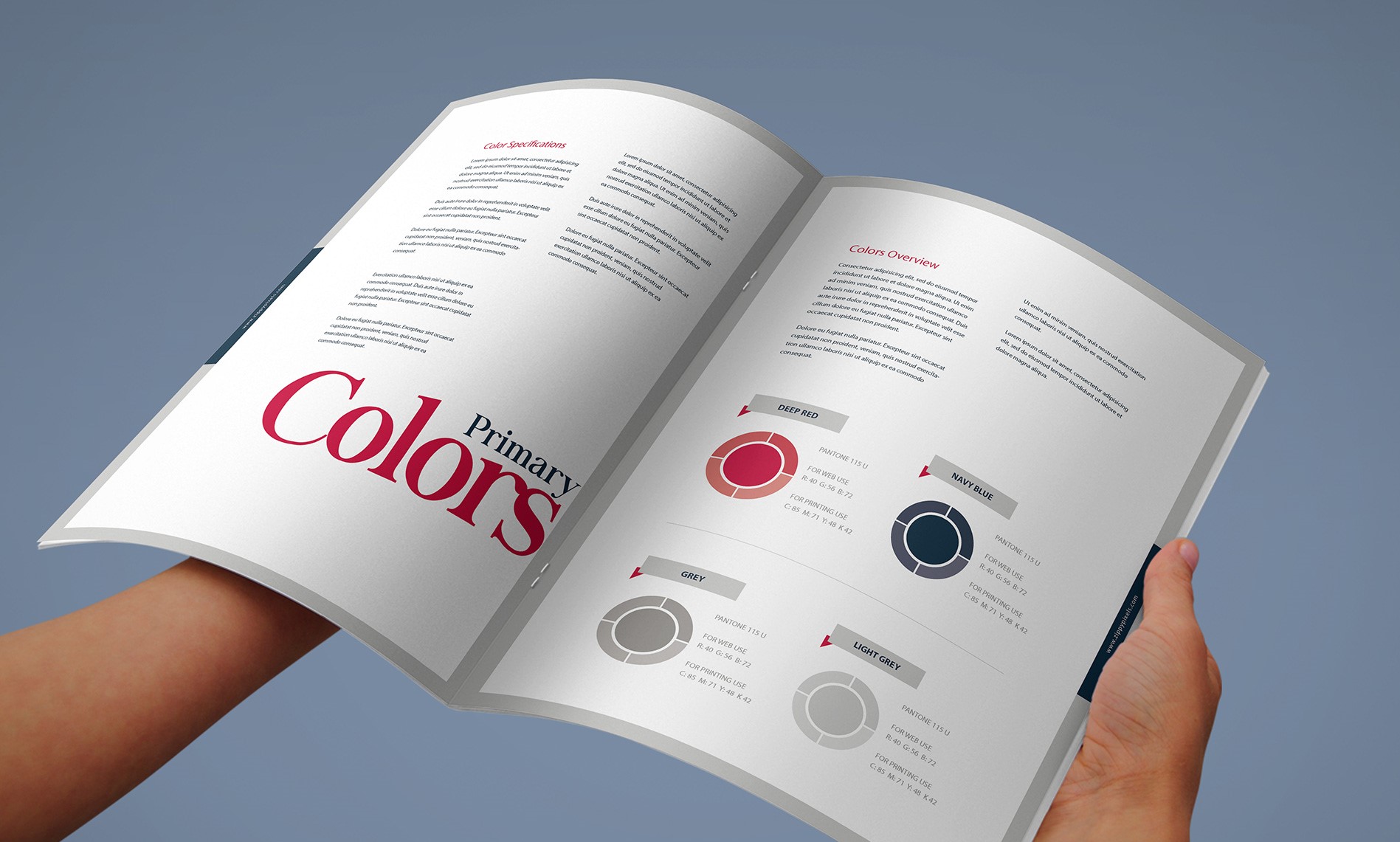 Brand Book Color palette